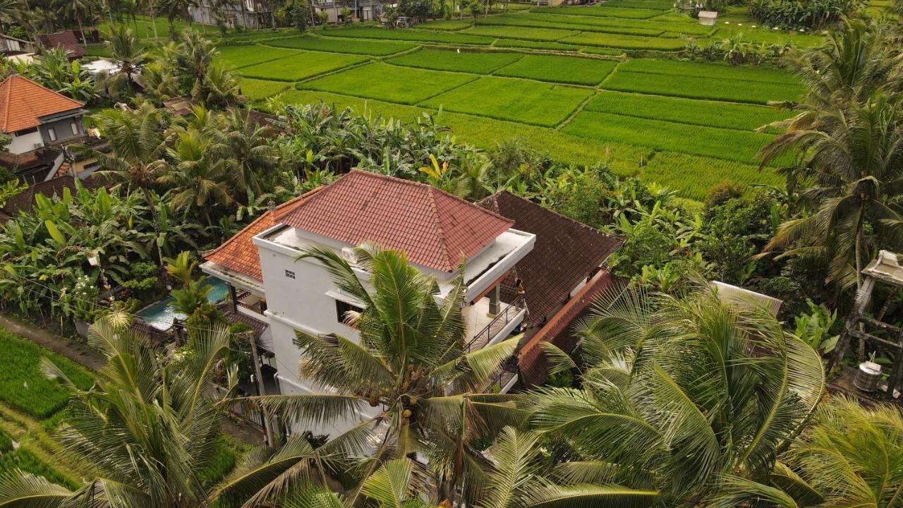 Nirwa Ubud Homestay Buitenkant foto